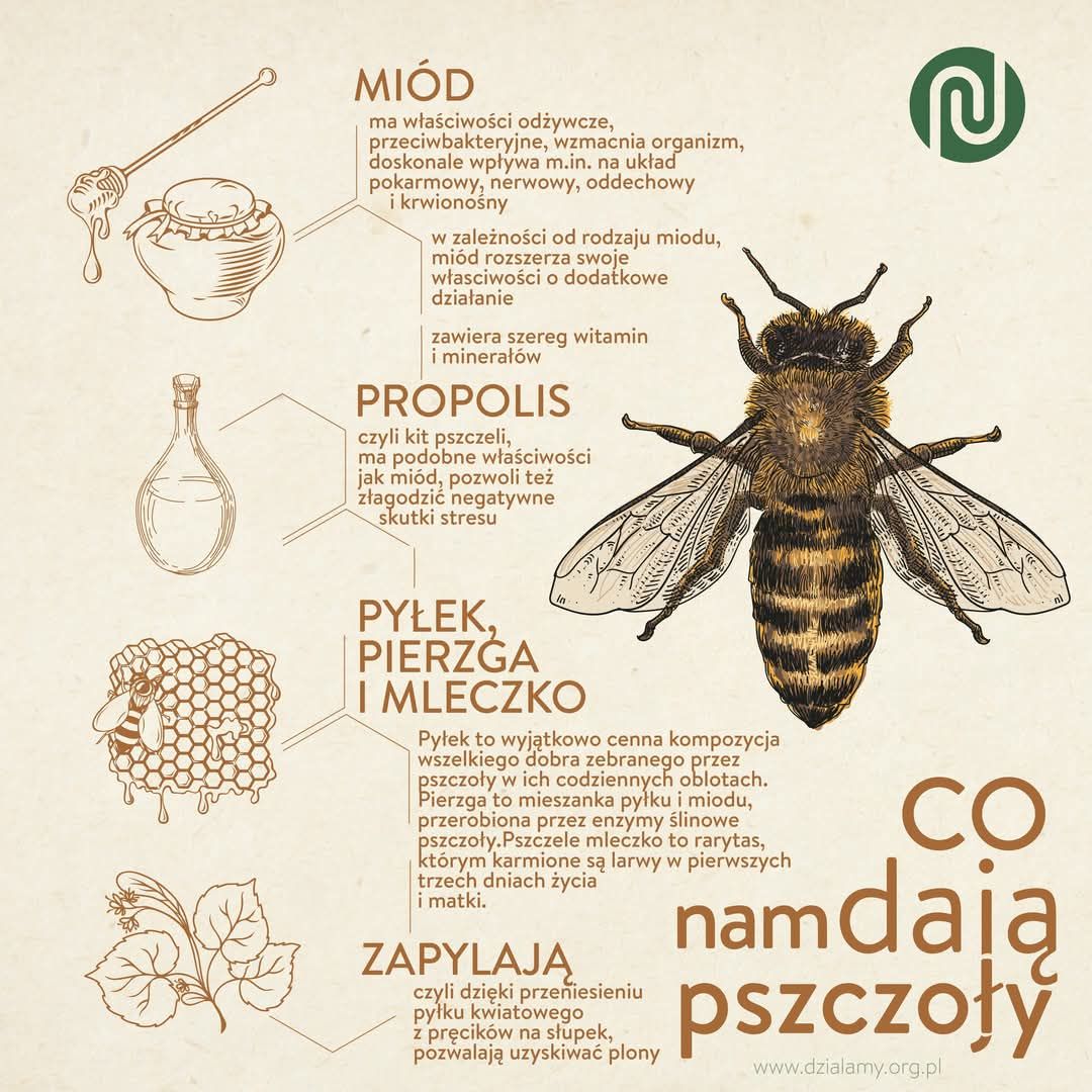 SZKOŁY DLA PSZCZÓŁ