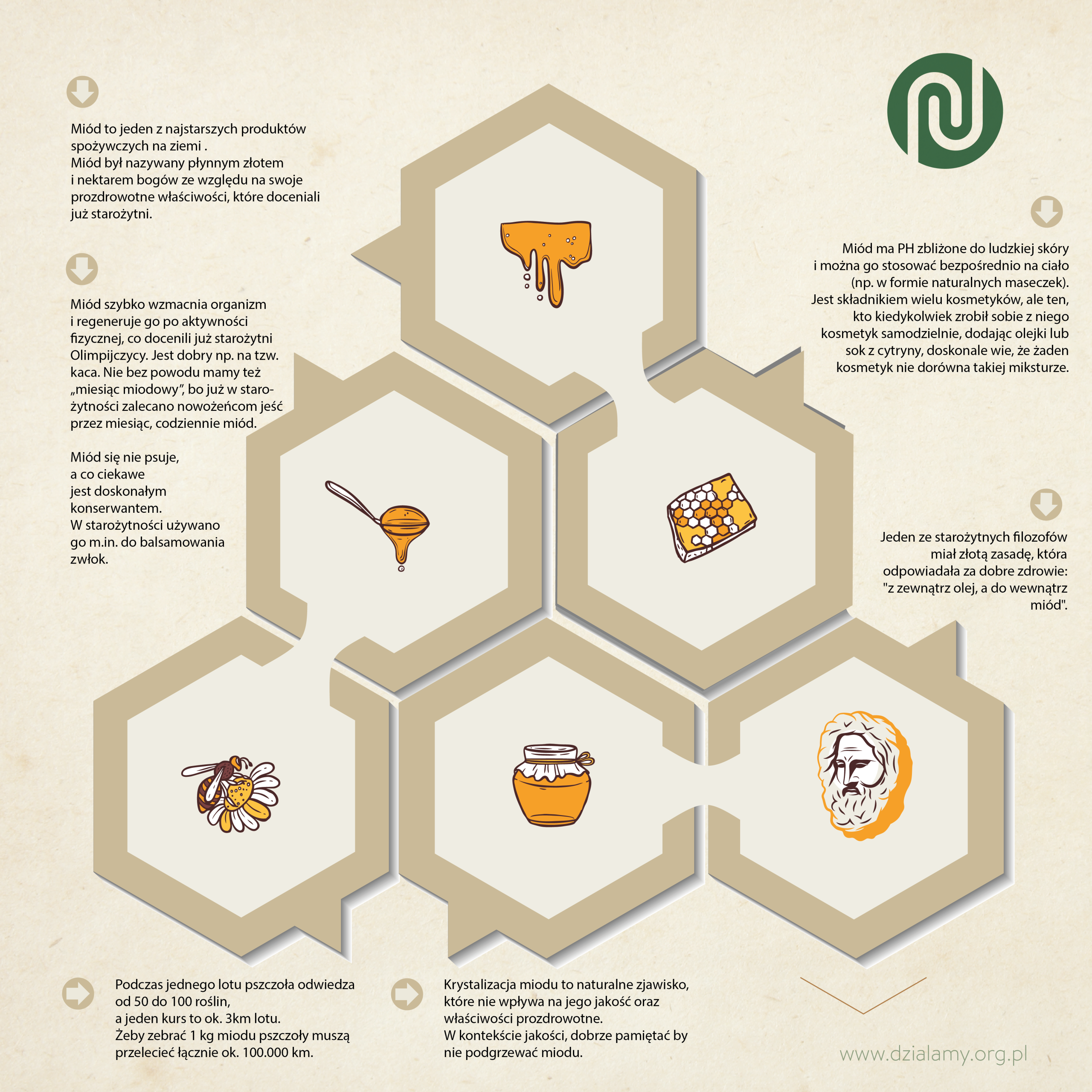 INFOGRAFIKA PRZEDSTAWIAJĄCA INFORMACJE O ROLI PSCZÓŁ