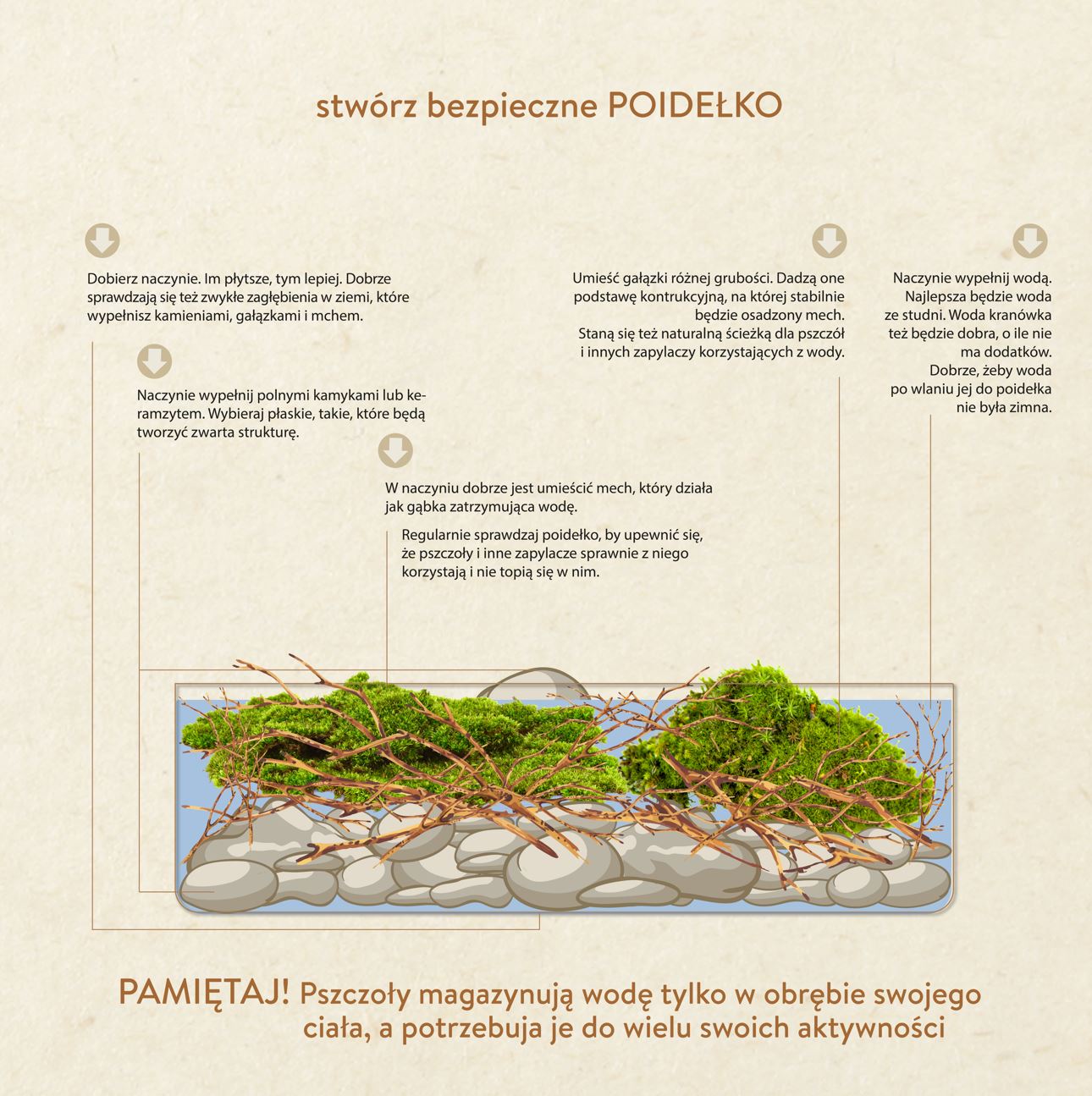 INFOGRAFIKA PRZEDSTAWIAJĄCA INFORMACJE O ROLI PSCZÓŁ